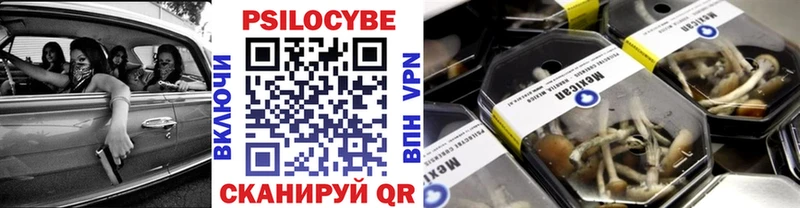 Псилоцибиновые грибы Cubensis  Узловая 