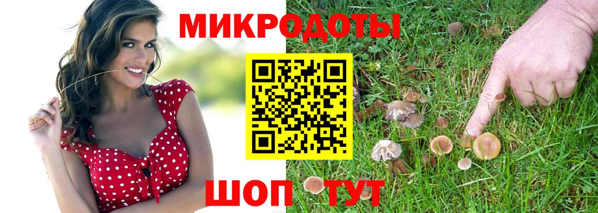 Псилоцибиновые грибы мицелий Узловая